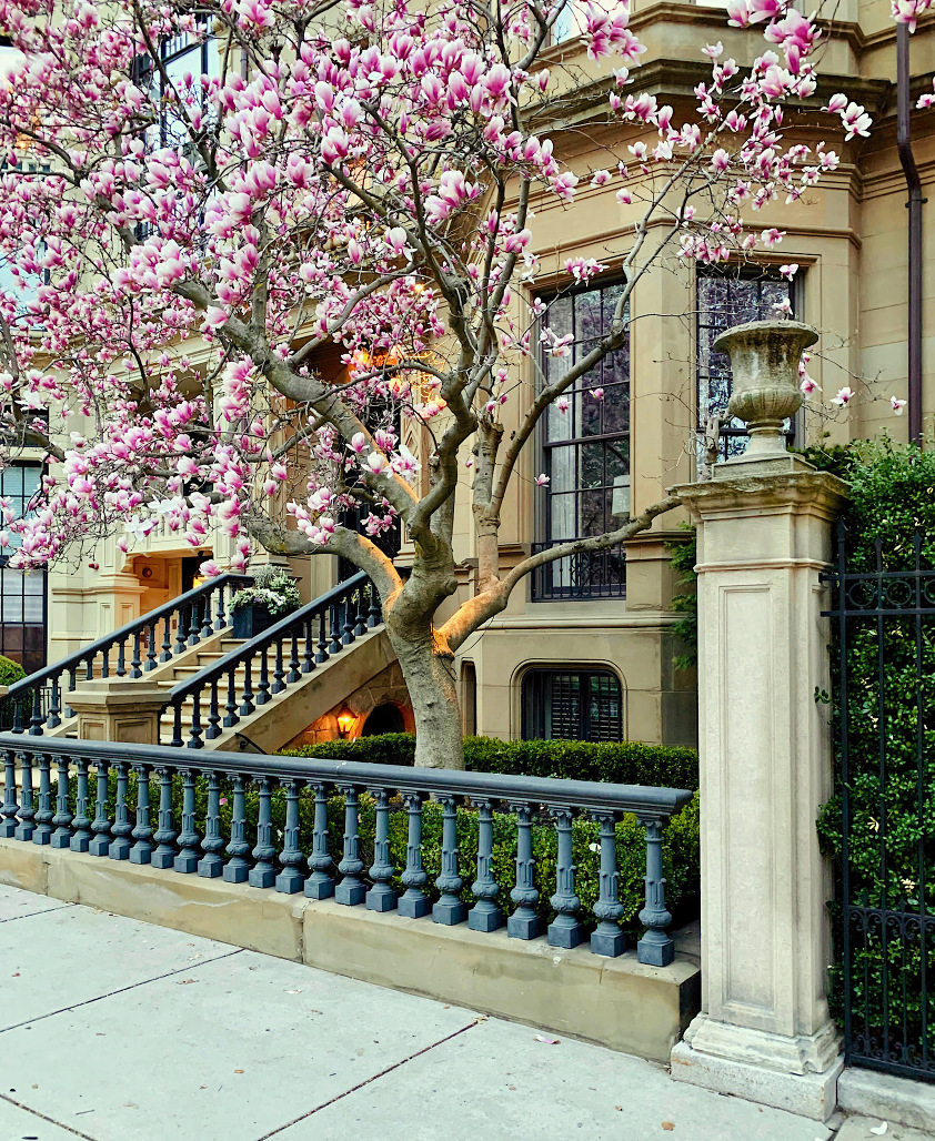 Exquisite architecture - Springtime in Boston - Commonwealth Ave