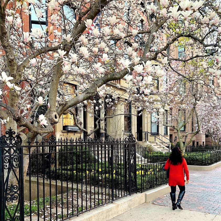 Lady in Red - Color Palettes From Nature - Springtime in Boston - Back Bay