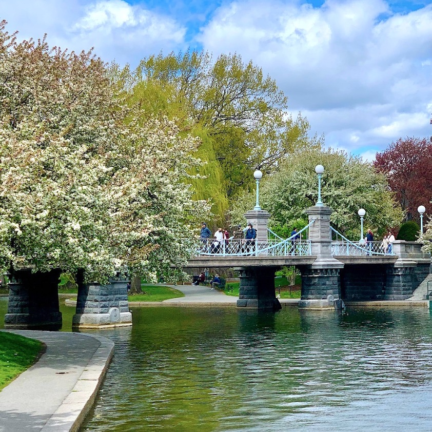 Boston Public Garden May 2021