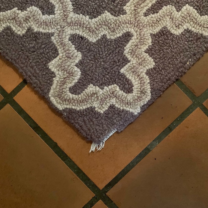 vacuum chewed corner of area rug