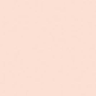 Farrow and Ball Pink Ground pink paint color