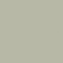 benjamin moore coty - october mist 1495 - classic sage green