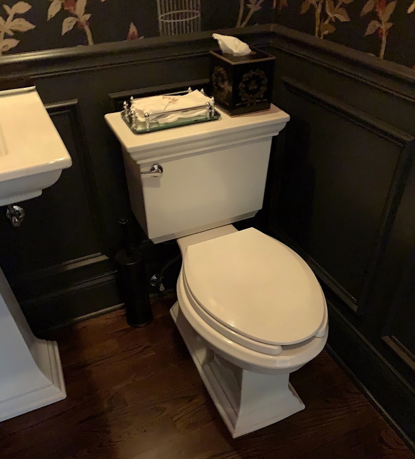 Kohler Memoirs toilet powder room