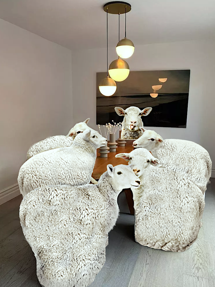 baa baaaboucle sheep chairs for dinner - interior design trends for 2022?