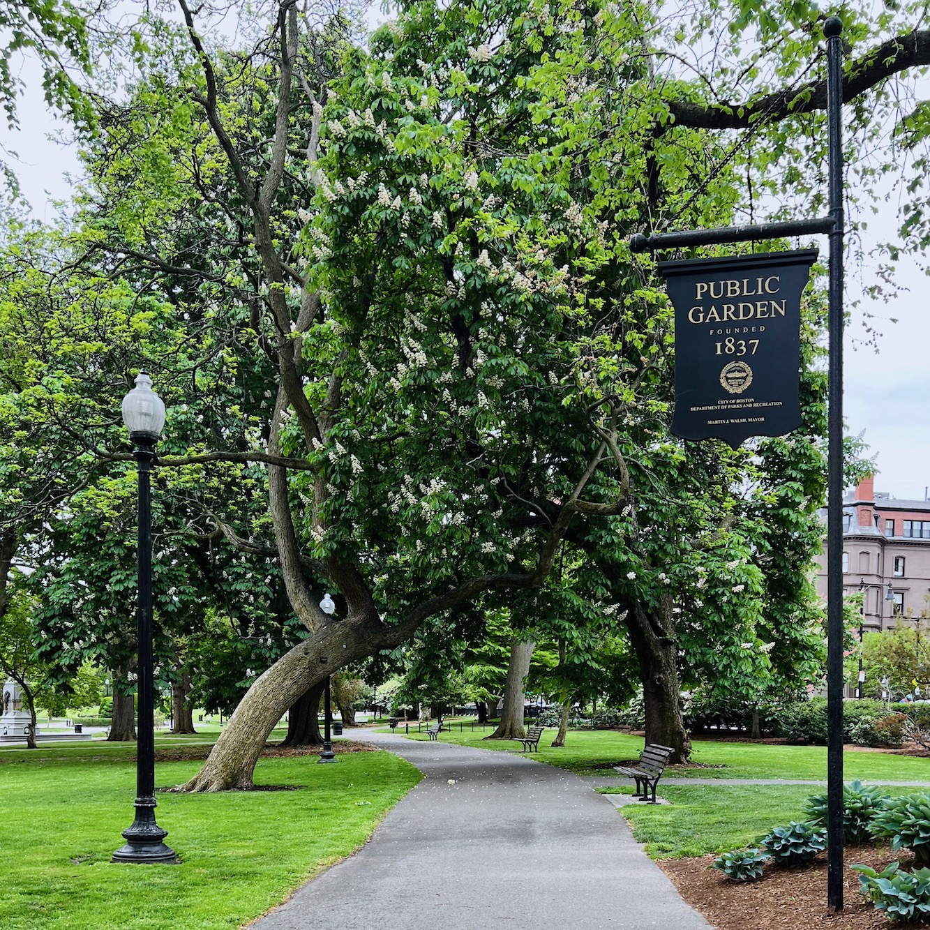 Iconic Boston Public Garden Spring 2022