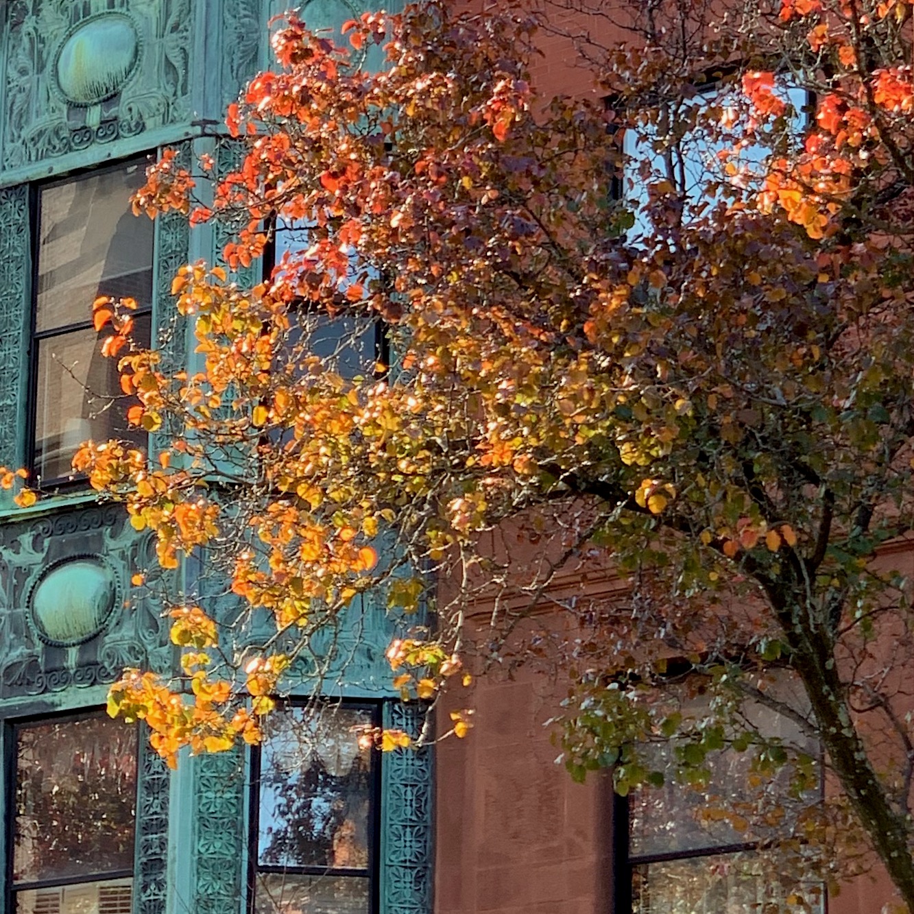 photo - LBI - Boston Back Bay fall orange color leaves - oxidized green copper