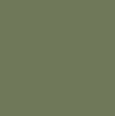 Farrow and Ball Calke Green