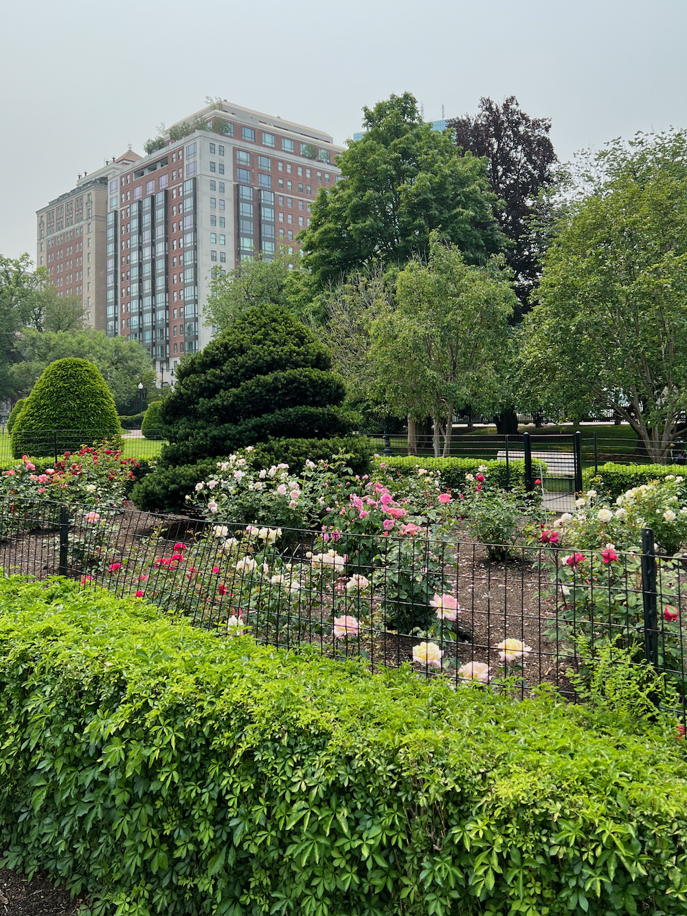 Boston Public Garden Early June 2023