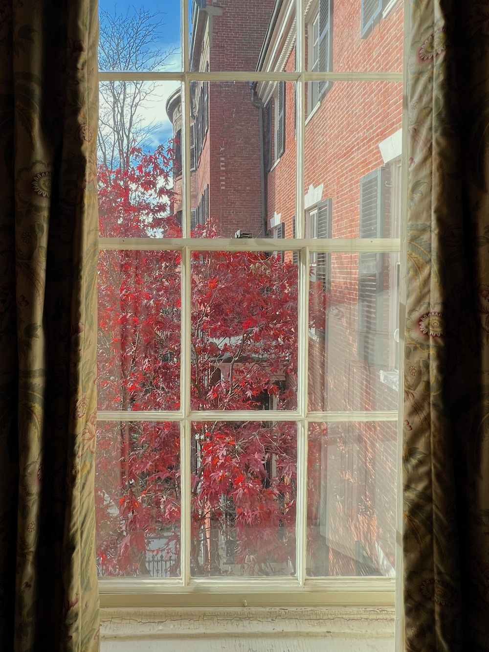 view from Nichol's House Mount Vernon Street Boston