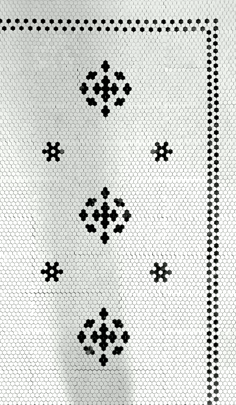 original pattern hex tile bathroom