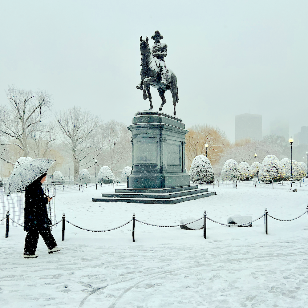 Boston Public Garden first snowfall Boston 2024