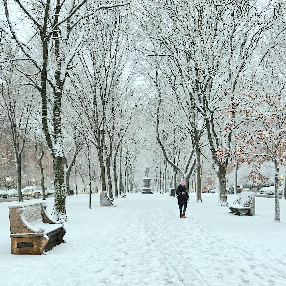 Commonwealth Ave mall first snowfall December 2024