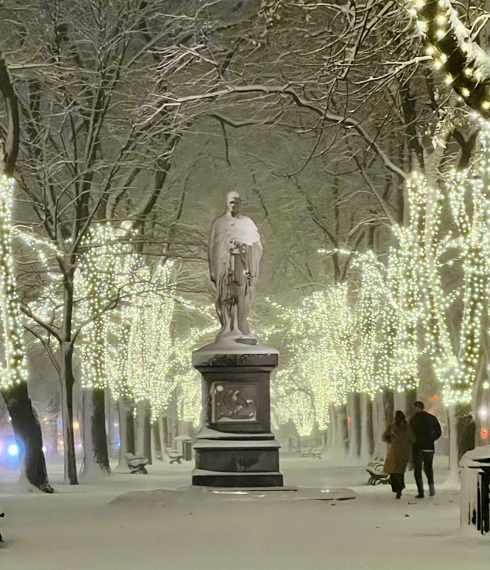 young couple - commonwealth Ave mall - snow December 2024