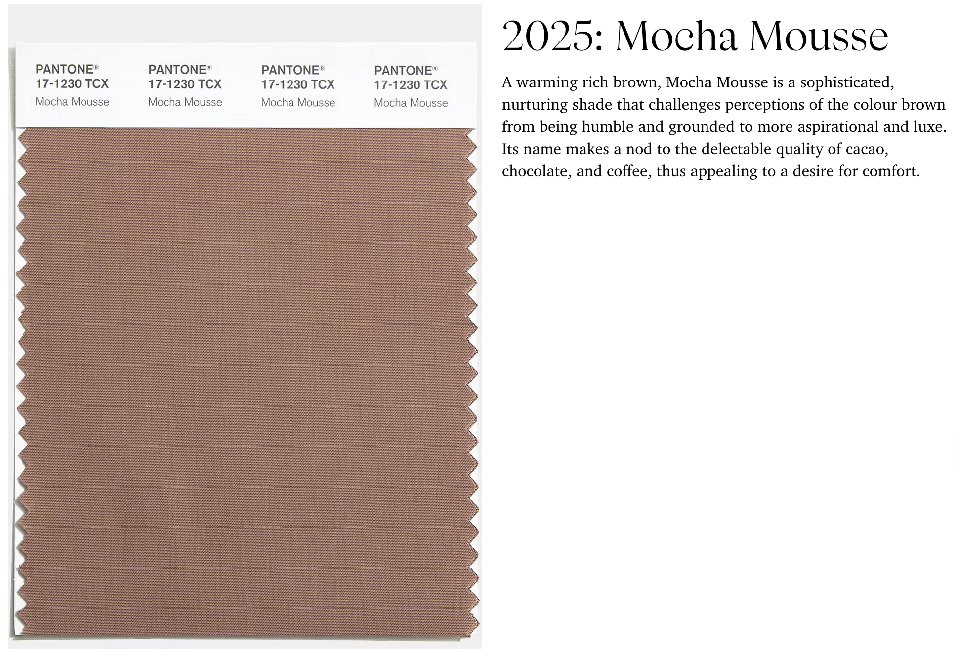 Pantone COTY 2025 Mocha Mousse fabric swatch