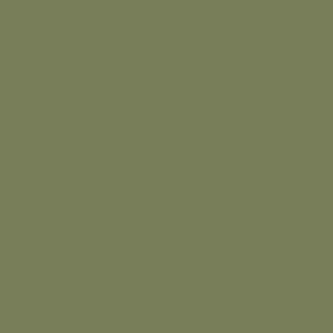 Benjamin Moore Oak Grove 489