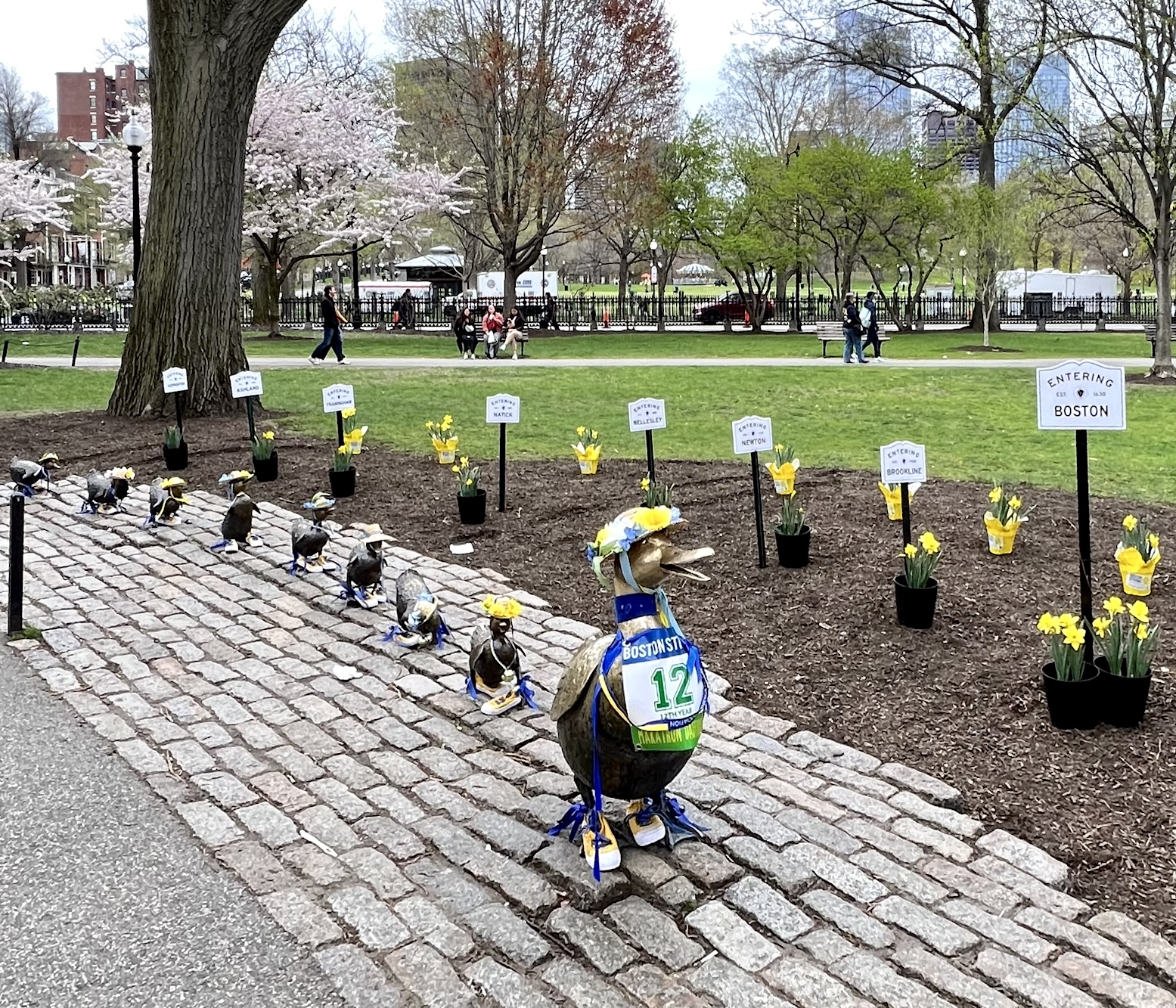 Boston Public Garden Ducklings Marathon 2025