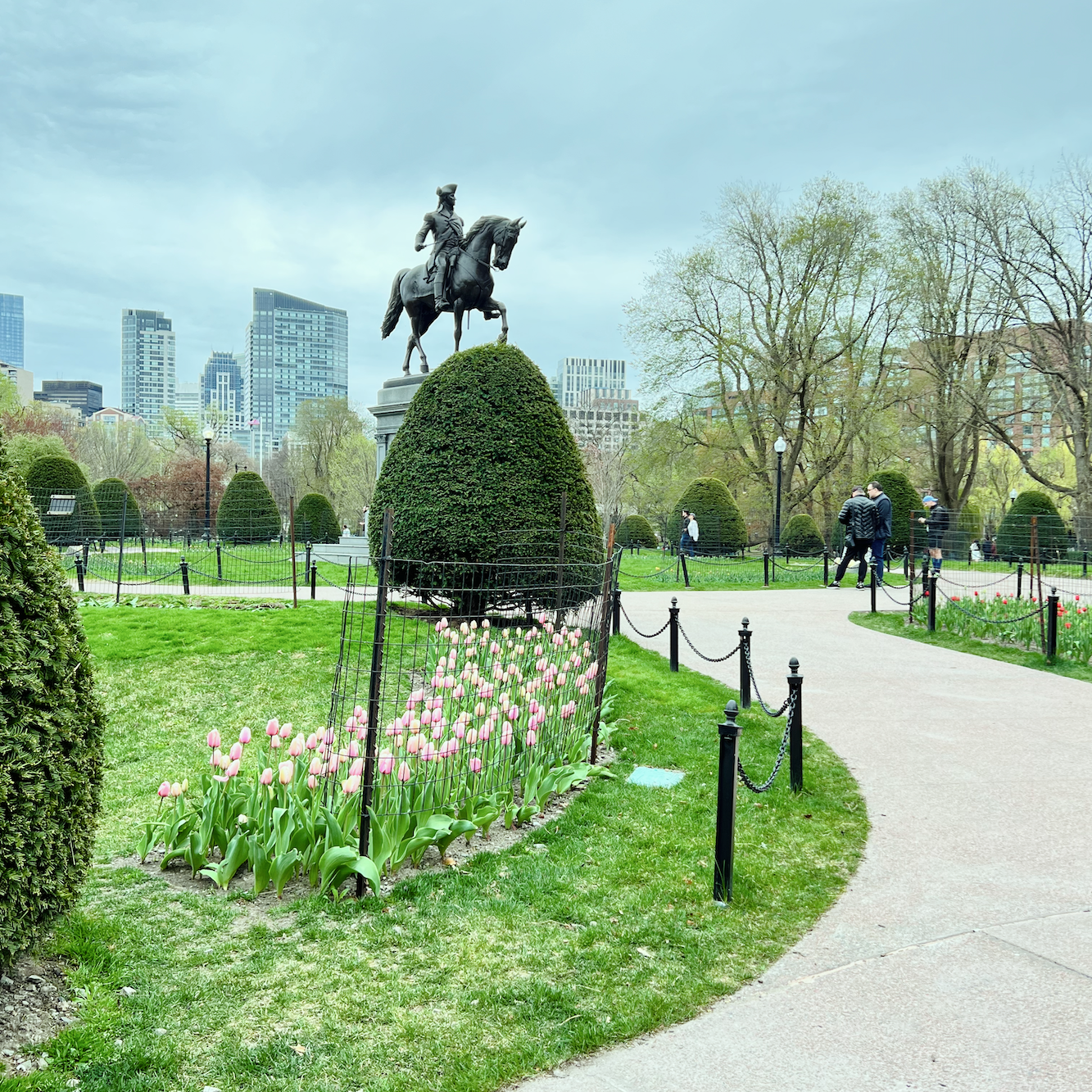 George Washington + Boston Public Garden tulips - Spring 2025