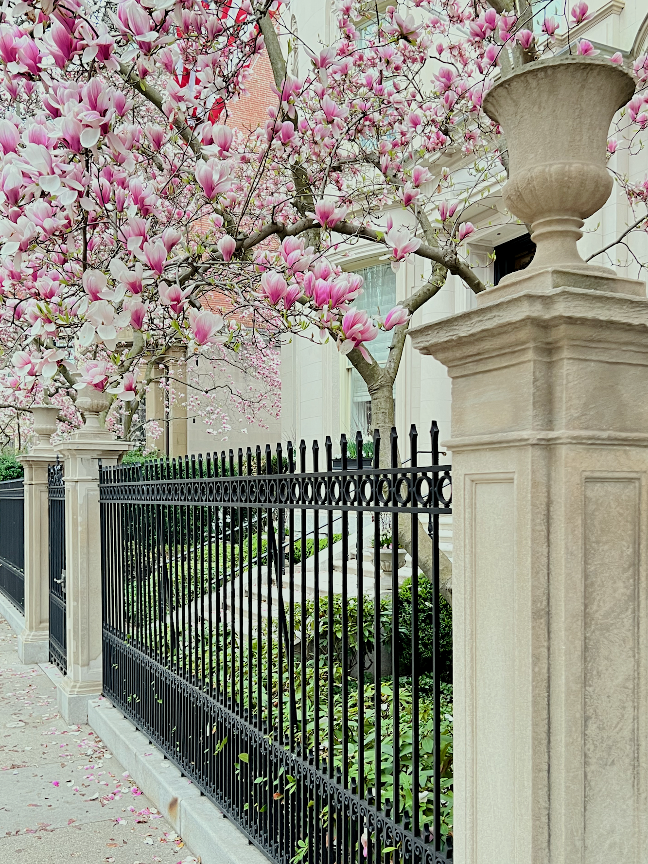 Gorgeous landmark Back bay home in springtime 2025
