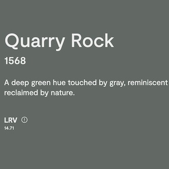 Benjamin Moore Quarry Rock 1568