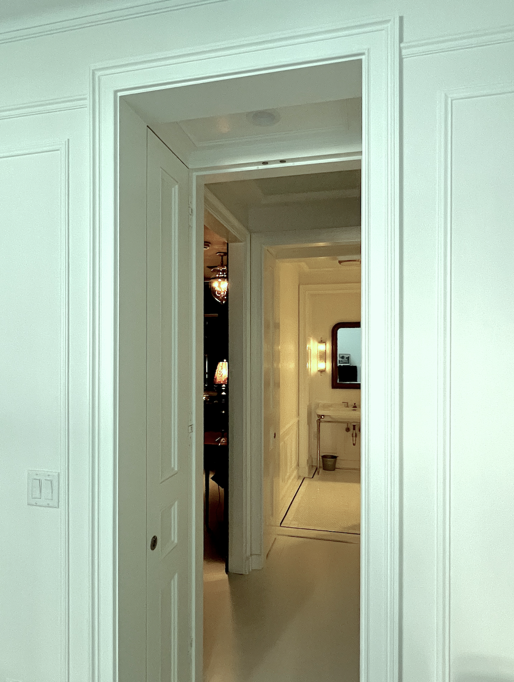 architectural details - Picture rail panel moulding primary + embrasure doors ceiling moulding