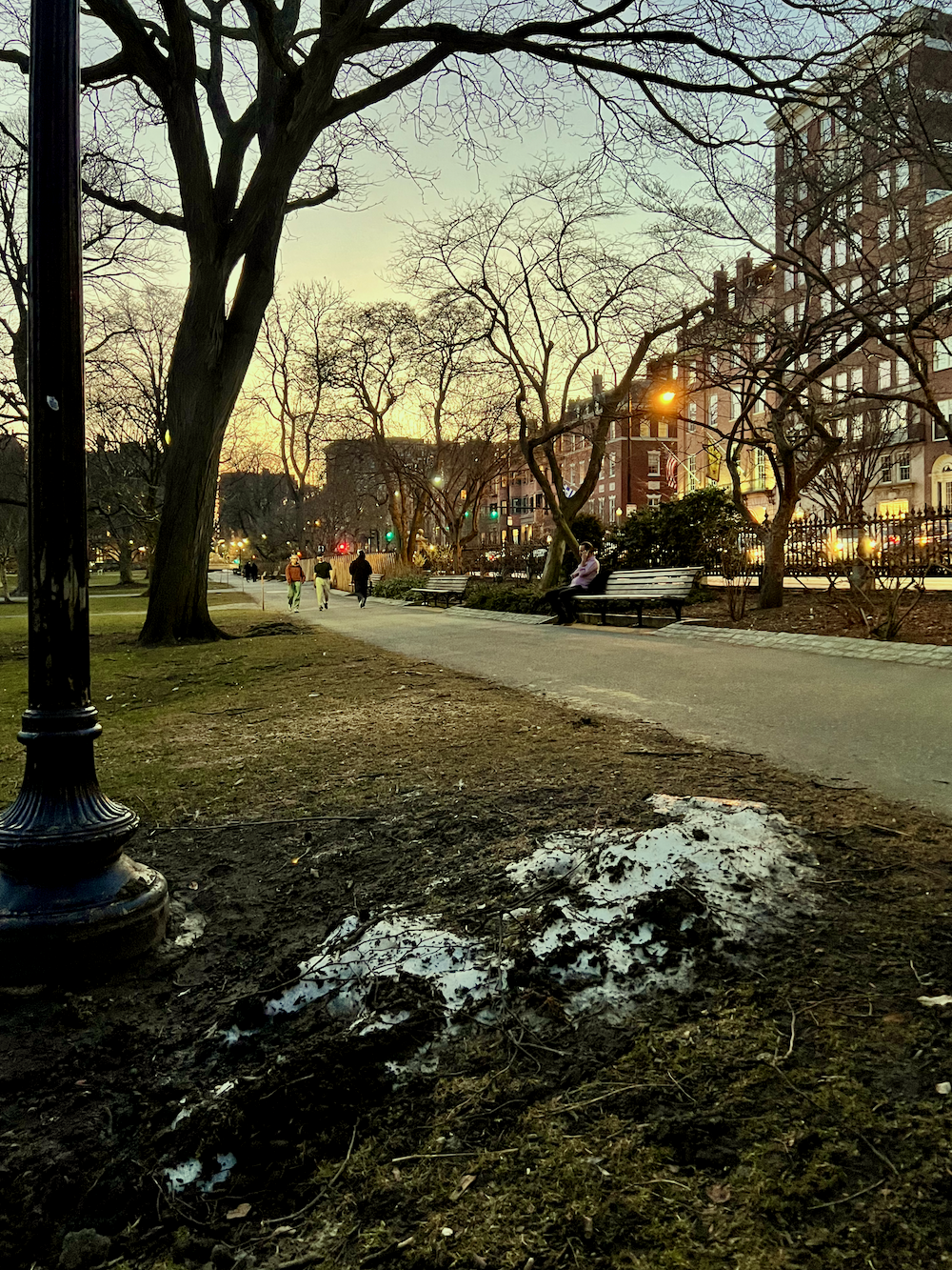 Boston snirt 3.10.2026 at sunset