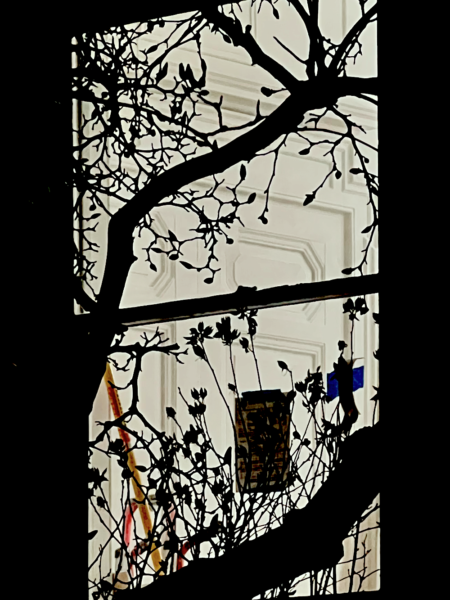 original door 273 Commonwealth-during renovation