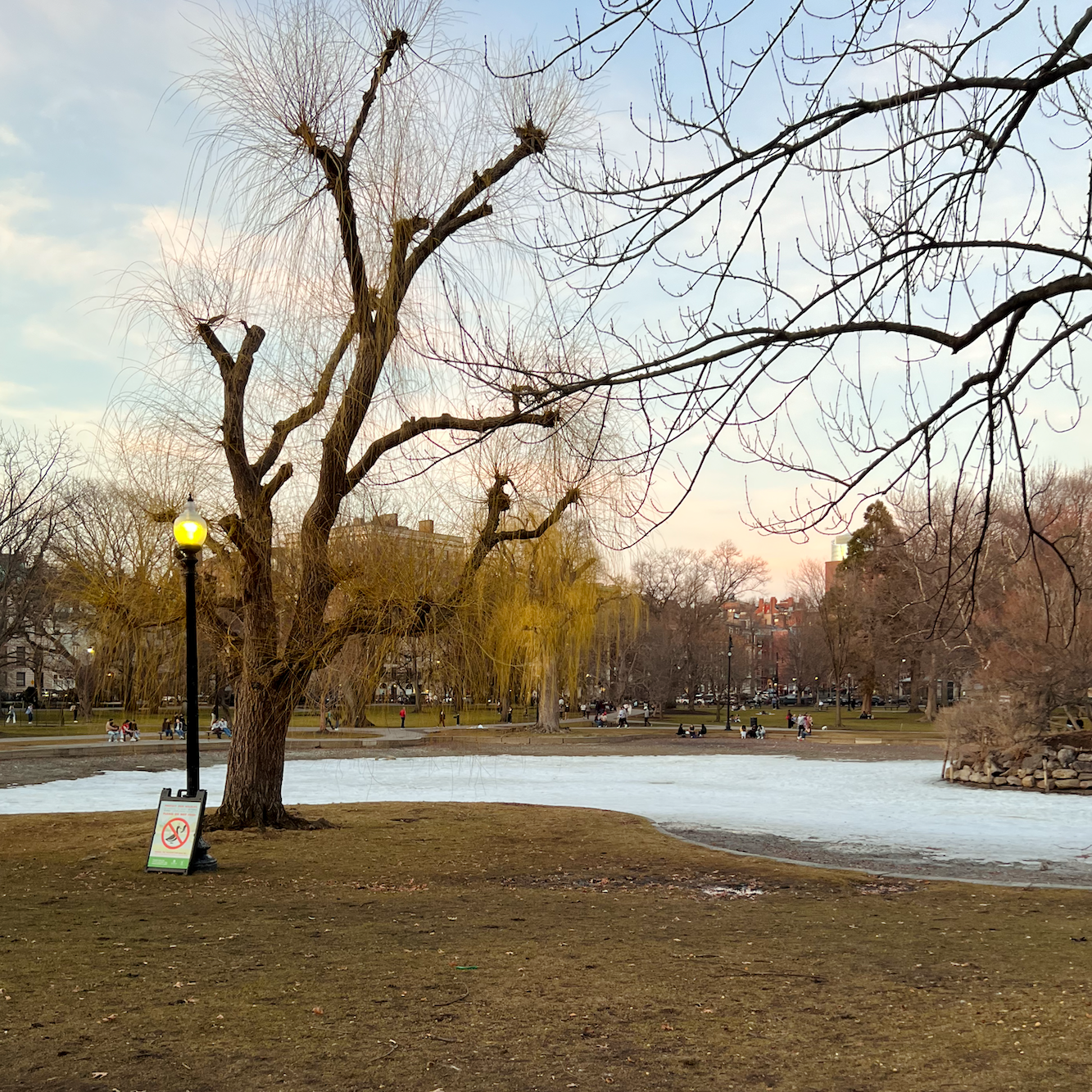 spring-like day + snow on the pond!