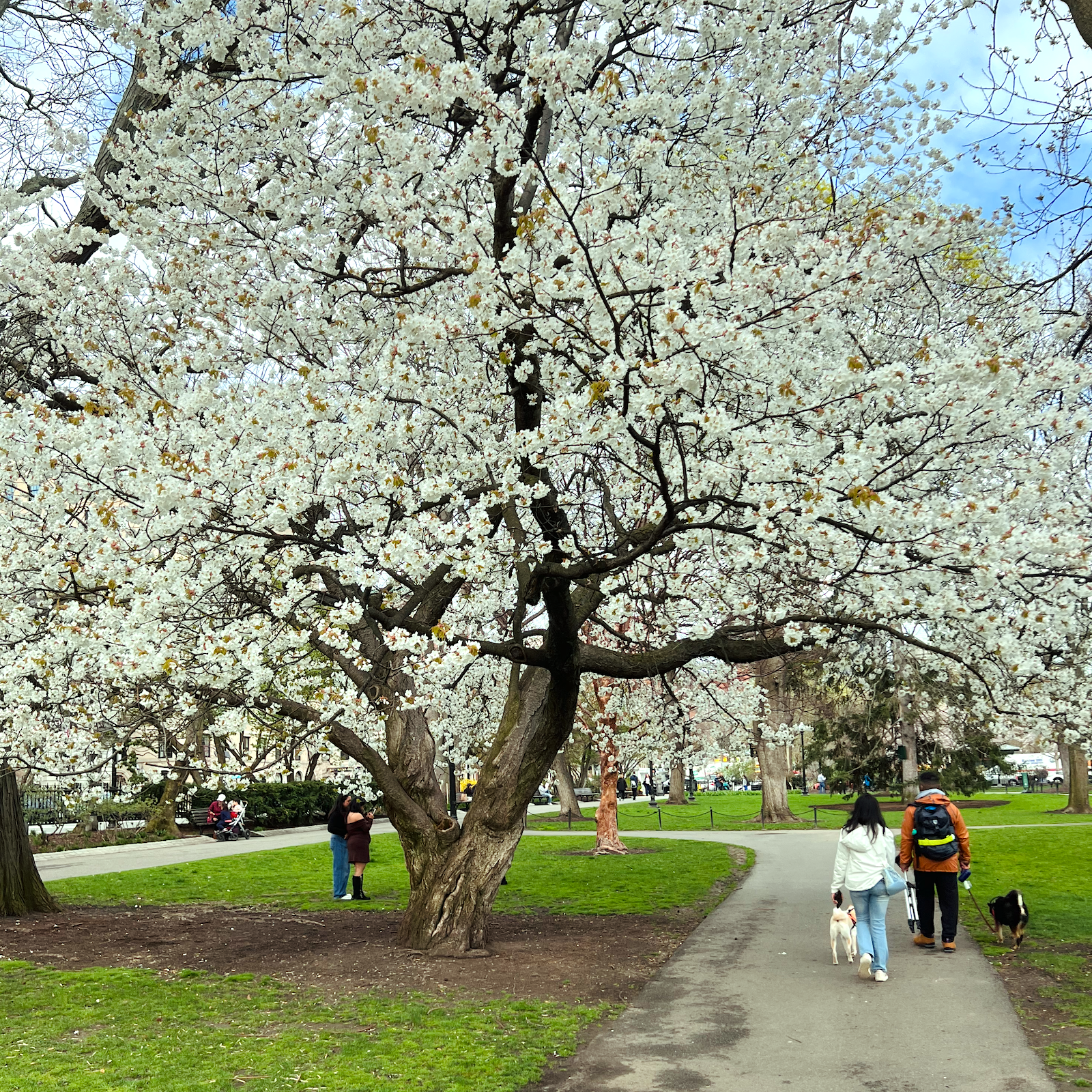 Boston Marathon weekend April 2026