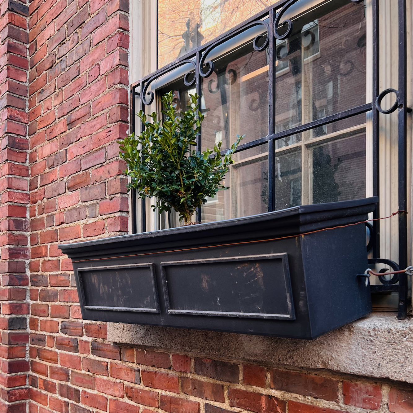 Boxwood planter April 2026
