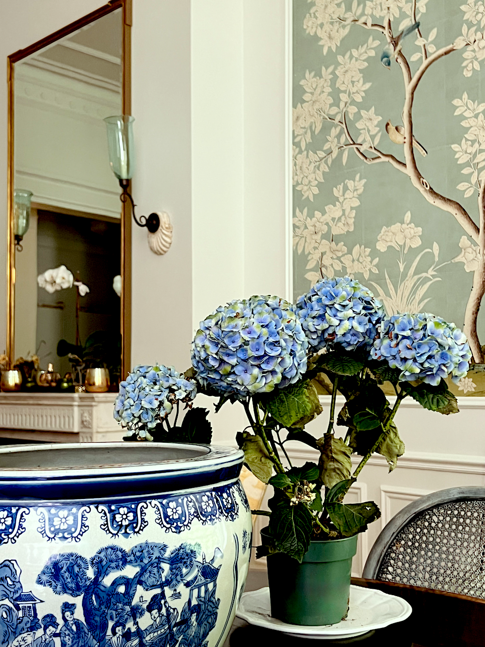 vignette with hydrangeas